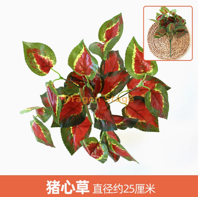 绿色植物，模拟植物墙，塑料草坪，阳台，室内背景，花墙，黑色鸽子，1个分支