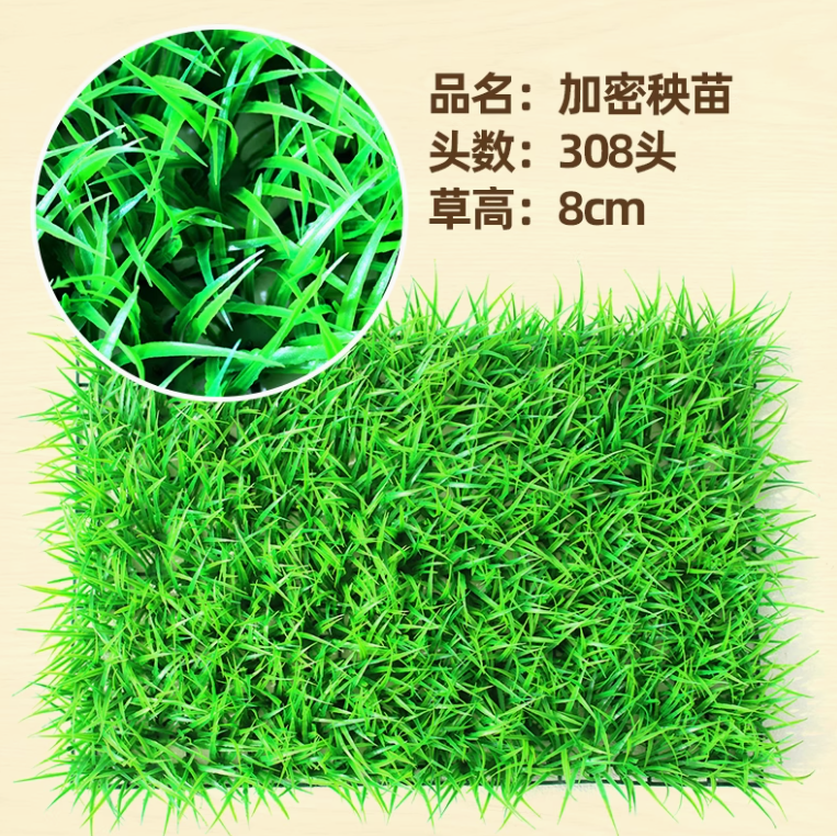 超密秧苗草坪