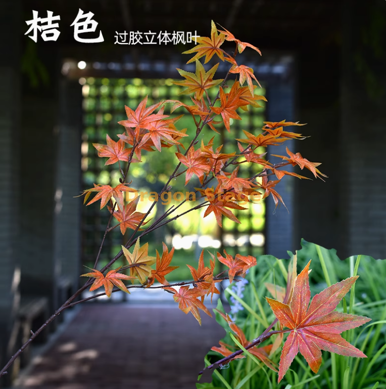 西瓜红枝西瓜红枝西瓜红枝西瓜红枝西瓜红枝西瓜红枝