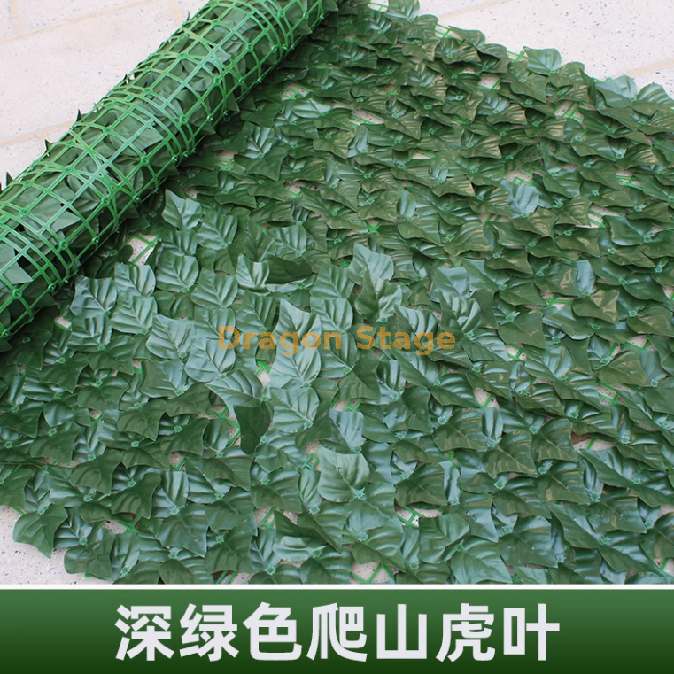 深色爬山虎（1（2）+2送绑丝+2