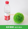 模拟植物草球米兰球塑料绿色植物天花板装饰假花松子草球 - 直径13厘米
