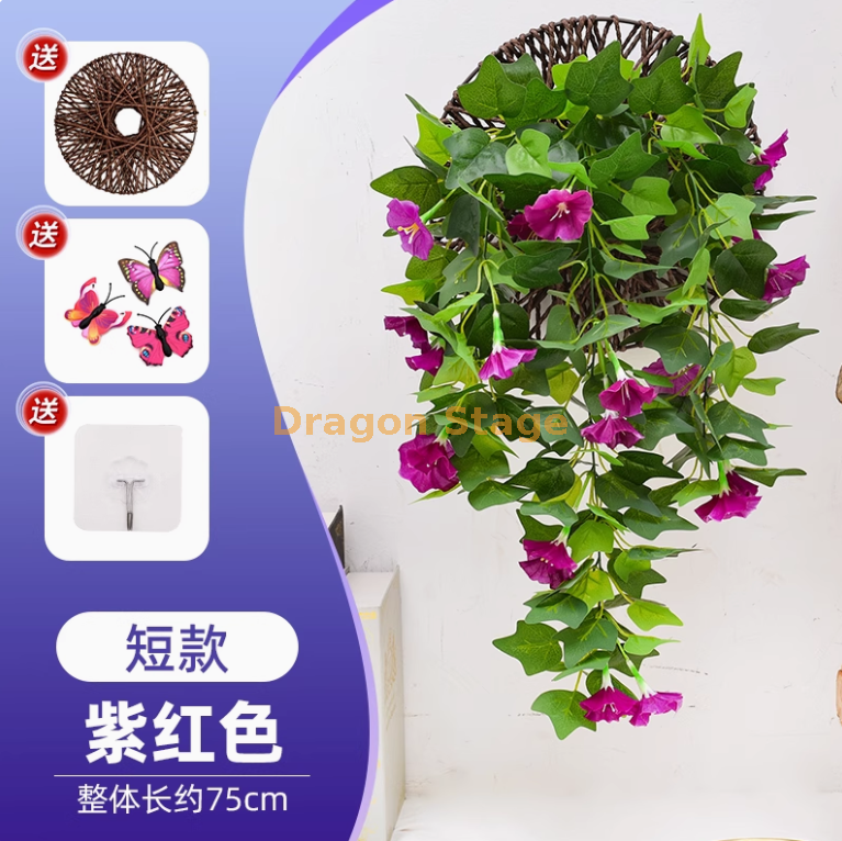 紫红色-短款牵牛花壁挂-1+++++2 -