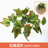 绿色植物，模拟植物墙，塑料草坪，阳台，室内背景，花墙，橙色红薯叶，1个分支