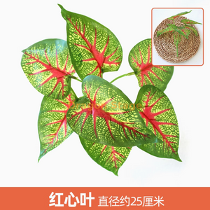 绿色植物模拟植物墙塑料草坪阳台室内背景花壁金红色心叶1分支