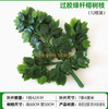 模拟的榕树叶，红枫叶，银杏叶，购物中心，室内假树枝，胶合塑料植物，胶绿色的杆，榕树叶，12个树枝