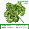 模拟的榕树叶，红枫叶，银杏叶，室内假树枝，五个叉子，小绿枫叶，购物中心12个树枝