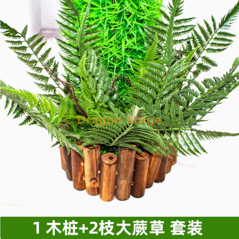 枝大蕨草