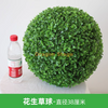 模拟植物草球米兰球塑料绿色植物天花板装饰假花和花生草球 - 直径38厘米