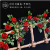 模拟的玫瑰藤，假藤，空调栅栏，装饰藤，大红色牡丹藤，1藤
