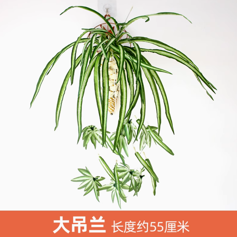 1束灰色1枝