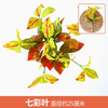 绿色植物模拟植物墙壁塑料草坪阳台室内背景花朵墙壁浅黄色秋天草1分支