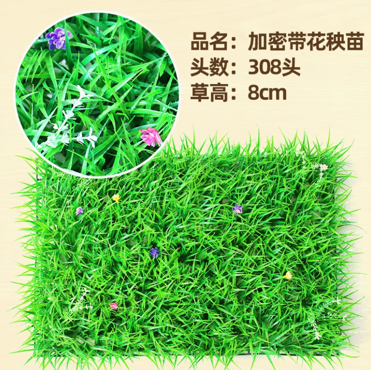 加密带花秧苗
