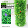 用于装饰和覆盖水管，模拟树皮，绿色植物，五颜六色的花和大型水生植物（3米）的包装。包括安装程序包