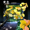 模拟的榕树叶，红枫叶，银杏叶，购物中心，室内假树枝，荧光黄色，三维银杏叶-1分支