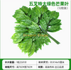 水管的装饰和阻塞，模拟树皮，绿色植物，绿色大叶，1（12个树枝）
