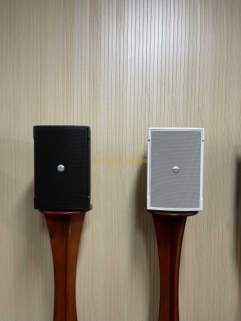 专业音响 PA 扬声器销售室内 10 英寸 250W 音响系统便携式扬声器