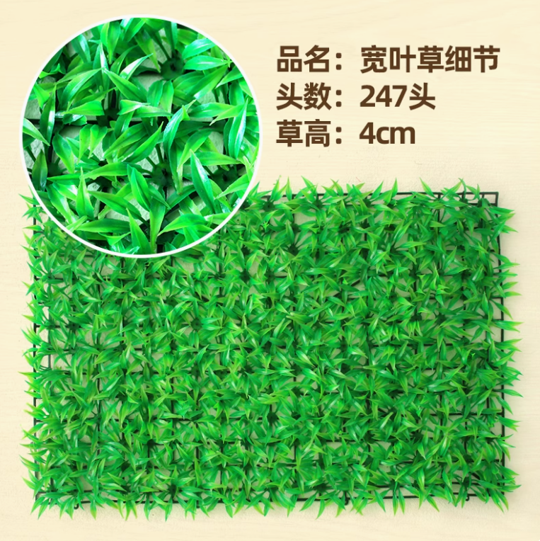 加密宽叶大草