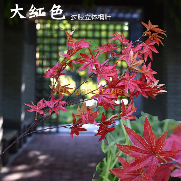 玫红色1枝1枝1枝1枝1枝1枝