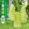 模拟的紫藤花豆腐布丁弦紫罗兰色藤藤室内婚礼装饰绿色新紫藤花朵 - 绿色6
