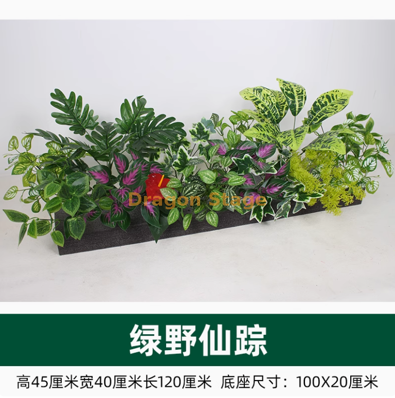 碧波荡漾-10020