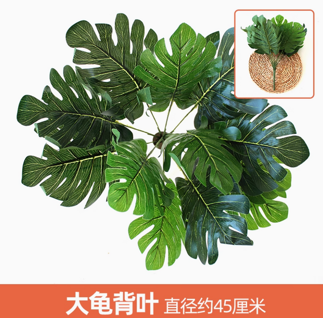 绿色植物，模拟植物墙，塑料草坪，阳台，室内背景，花墙，深棕色，大乌龟壳叶，1捆