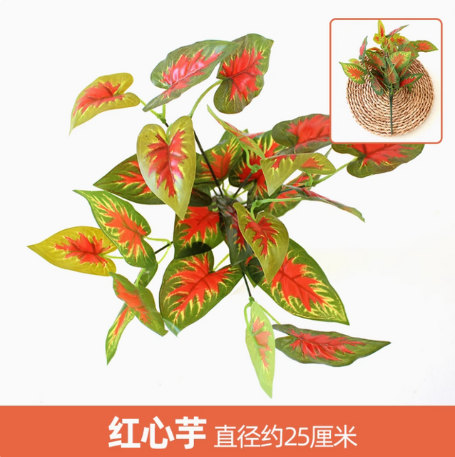 绿色植物，模拟植物墙，塑料草坪，阳台，室内背景，花墙，西瓜，红色心，芋头，1个分支