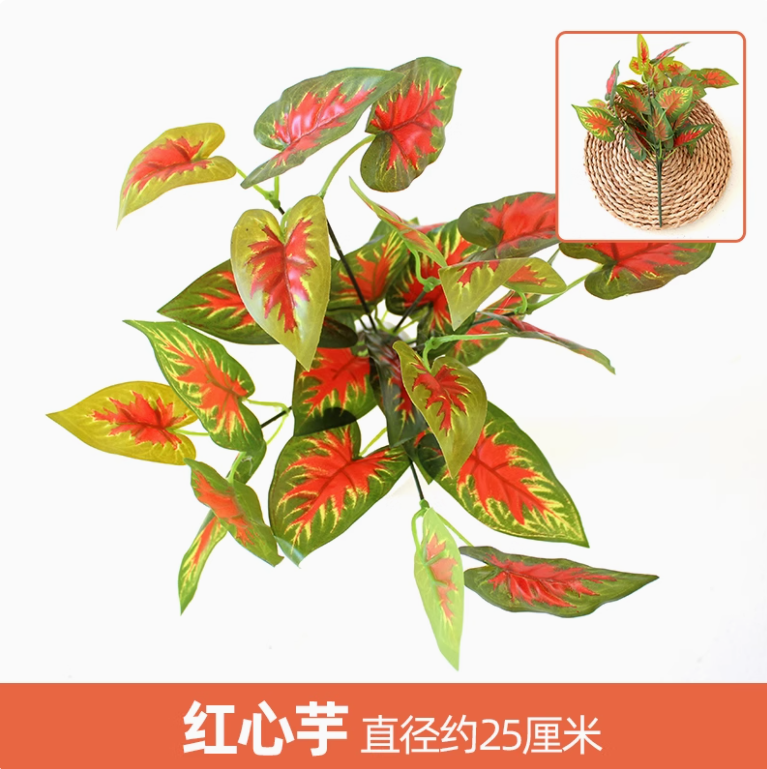 西瓜红1枝西瓜红1枝酒红色1枝酒红色1枝酒红色1枝花色1枝