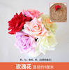绿色植物，模拟的植物墙，塑料草坪，阳台，室内背景，花墙，深蓝色，玫瑰，5个树枝，颜色音符