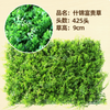 绿色植物，模拟植物墙，塑料草坪，阳台，室内背景，花墙和各种豪华草