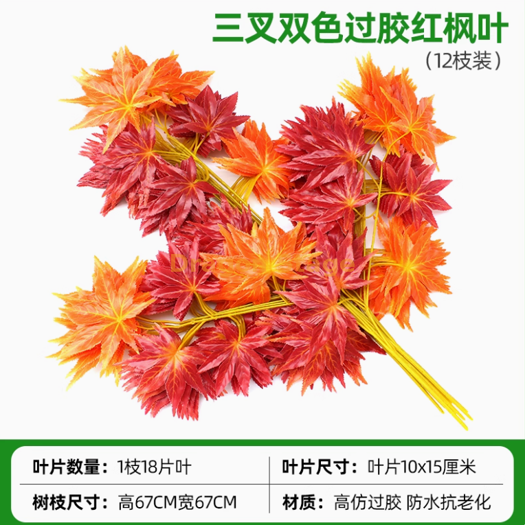 （12枝）（12枝）（12枝） 
