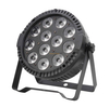 100W 12*10W 4IN1 LED PAR灯