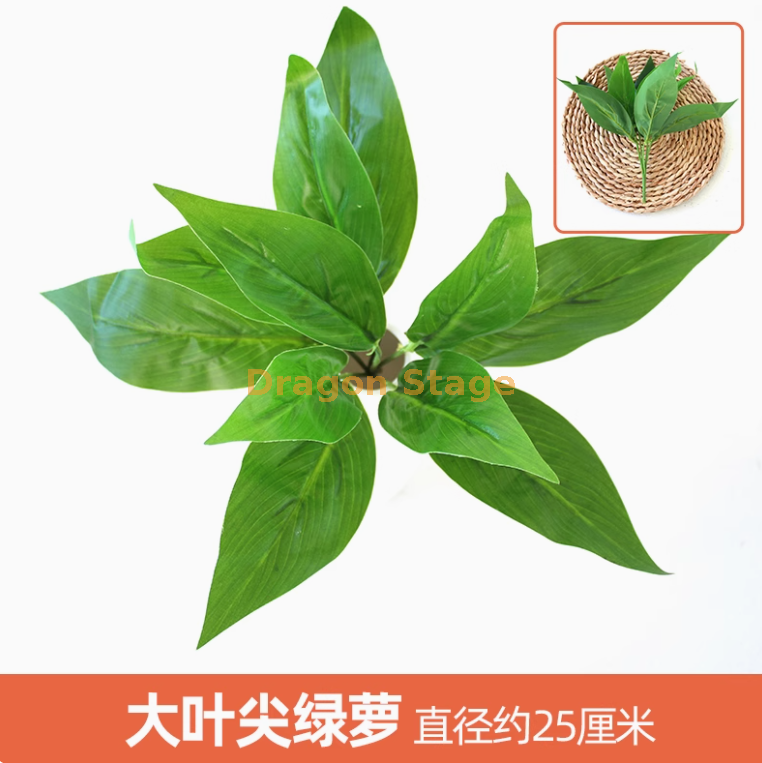 孔雀蓝1枝透明枝透明枝透明