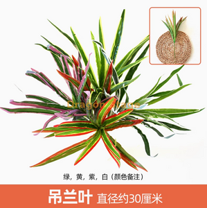 绿色植物仿真植物墙塑料草坪阳台室内背景花壁灯紫色绿色斑块1彩色注意