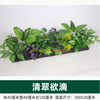 模拟的绿色植物套装组合，模拟花卉布置，室内购物中心花槽，清除和郁郁葱葱-100 * 20