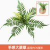 绿色植物，模拟植物墙，塑料草坪，阳台，室内背景，花墙，深卡其布织物颜色，触觉感觉，大蕨草，1个分支