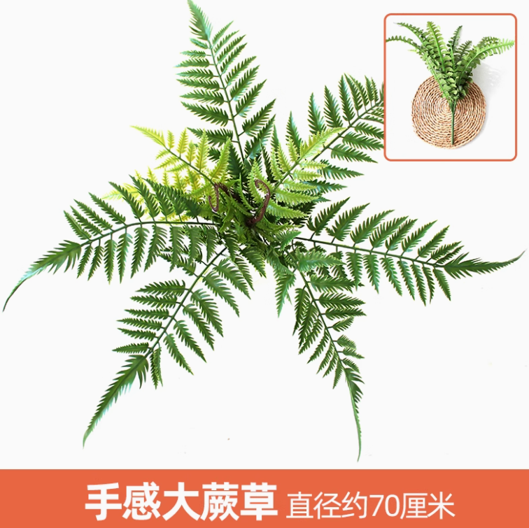 深卡其布色1枝