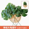 绿色植物，模拟的植物墙，塑料草坪，阳台，室内背景，花墙，蓝色单树枝，超大乌龟后背，1个分支