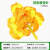 模拟的榕树树叶，红枫叶，银杏叶，购物中心室内假树枝，五个叉子双色银杏叶，12个树枝