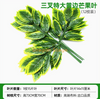 模拟的榕树叶，红枫叶，银杏叶，购物中心，室内假树枝，柠檬黄三叉戟，黄色芒果叶，12个树枝
