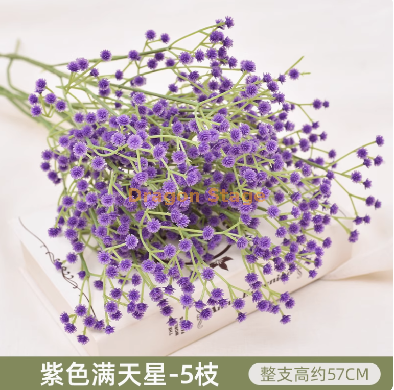 5 5枝白色枝