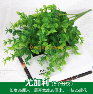 绿色植物，模拟植物墙，塑料草坪，阳台，室内背景，花墙，浅蓝色，桉树，1个分支