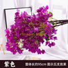 模拟的九重奏，樱花，蝴蝶花，李子花，树枝，风景区域，花园树，景观设计，紫色-1加密九重奏