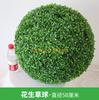 模拟植物草球米兰球塑料绿色植物天花板装饰假花和花生草球 - 直径58厘米