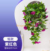模拟的早晨荣耀墙壁悬挂藤室室墙装饰紫色红色 - 短凌晨墙壁悬挂1捆