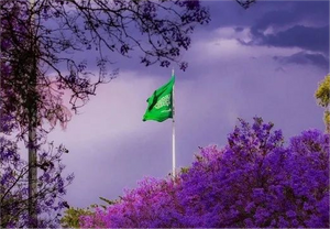 Saudi Arabia welcome VIPs with a purple carpet.png