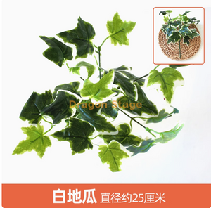 绿色植物，模拟植物墙，塑料草坪，阳台，室内背景，花墙，银色白地板，瓜叶，1个分支