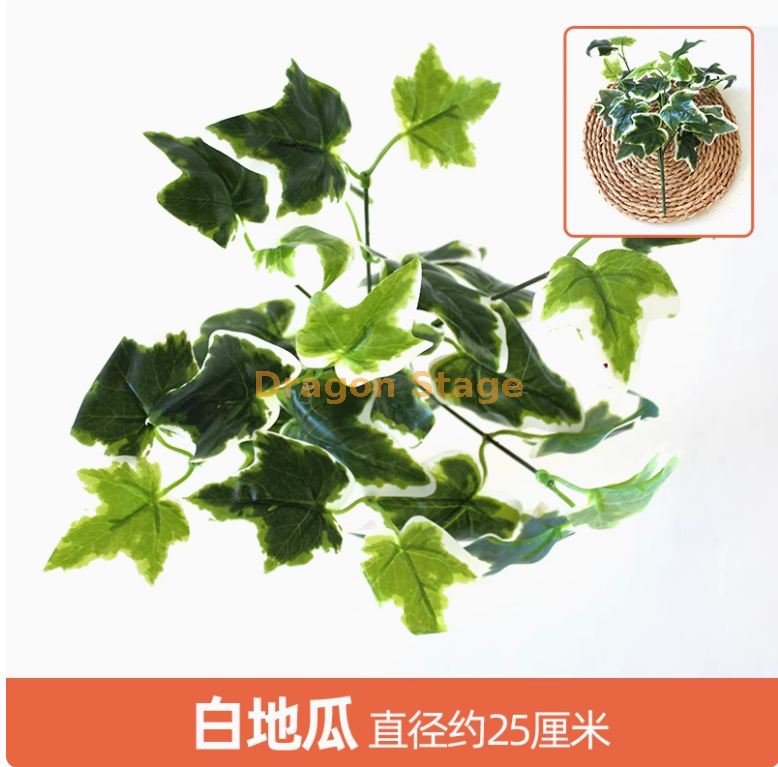 深紫色1枝深紫色1枝桔色