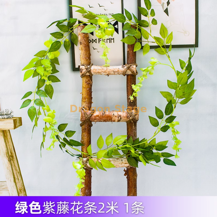 浅绿色1条浅绿色1条紫红色1条