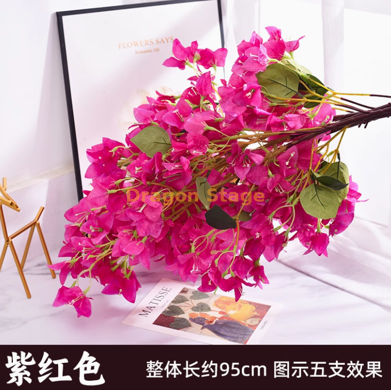 紫红色-加密三角梅-1枝