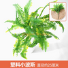 绿色植物模拟，植物墙，塑料草坪，阳台，室内背景，花墙，绿色塑料，小波斯，1个分支